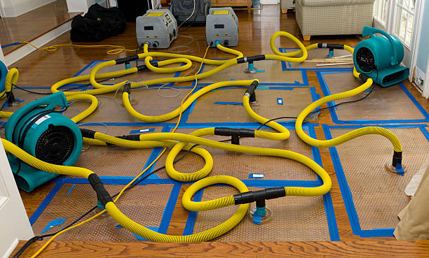 Professional Crawl Space Water Removal technician working in Kirby, TX